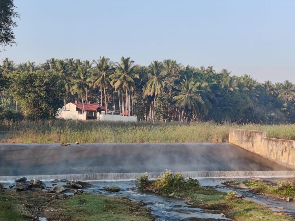 Cosmic Connect Trails Kabini photo 3