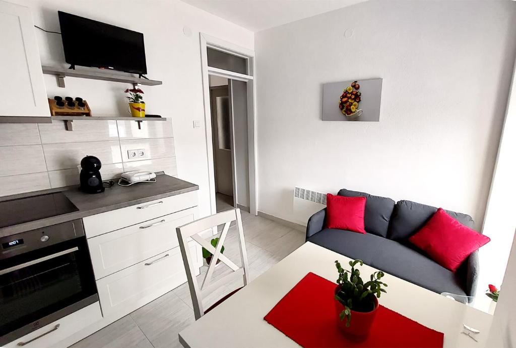 Apartment Oliva photo 1