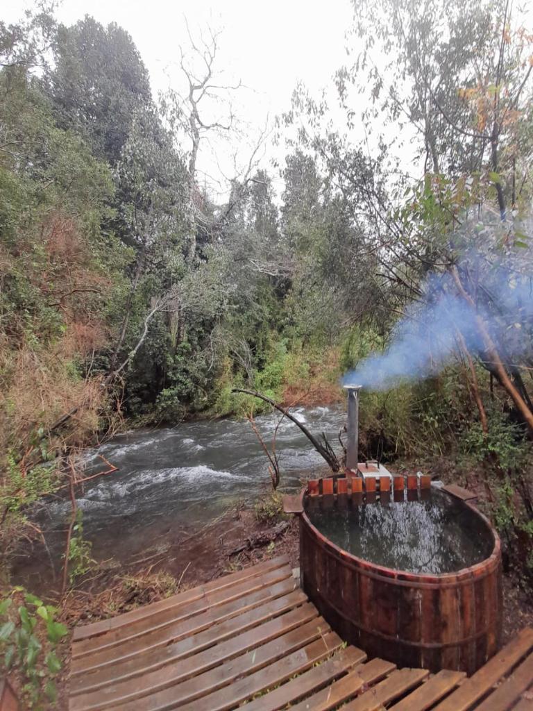 Entre Pampa y Bosque photo 2