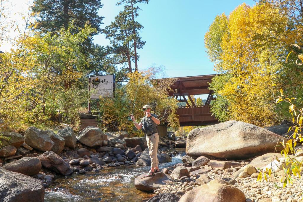 Castle Mountain Lodge image