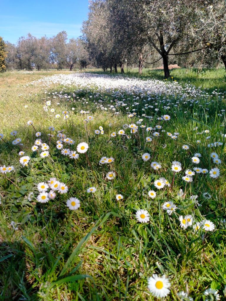 Agriturismo Lungo Albegna photo 2
