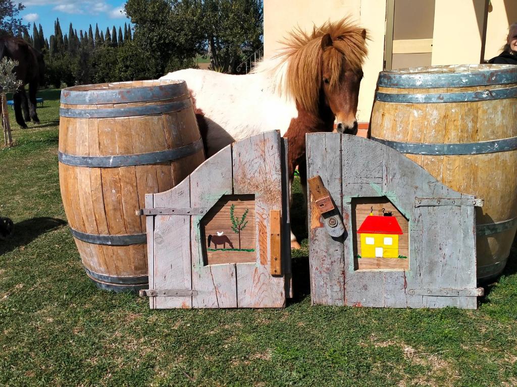 Agriturismo Lungo Albegna photo 1