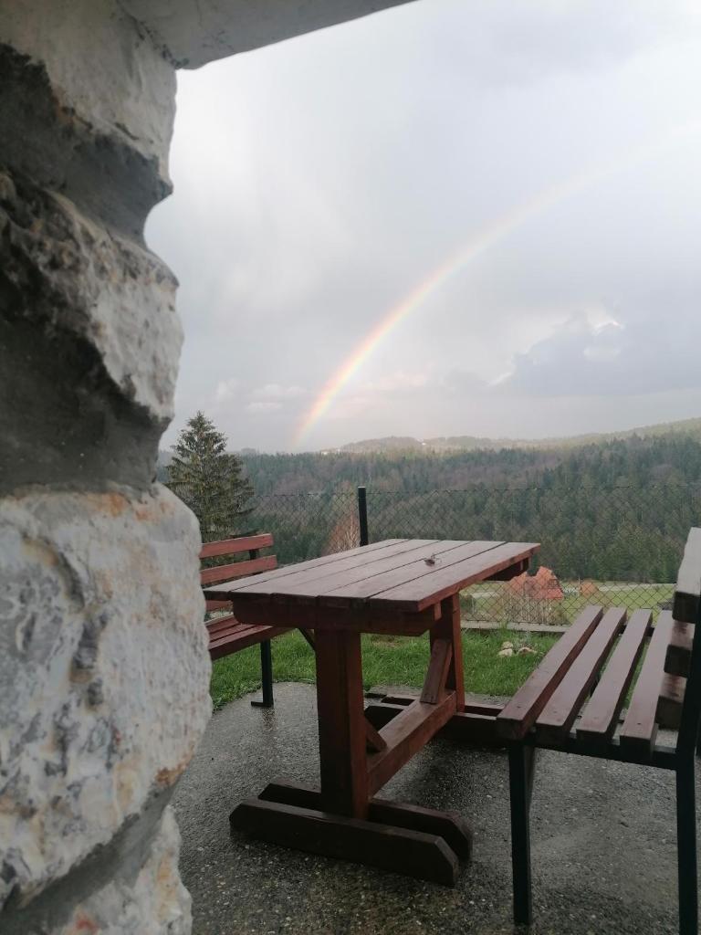 Tara Suncani sjaj-planinska kuca photo 1