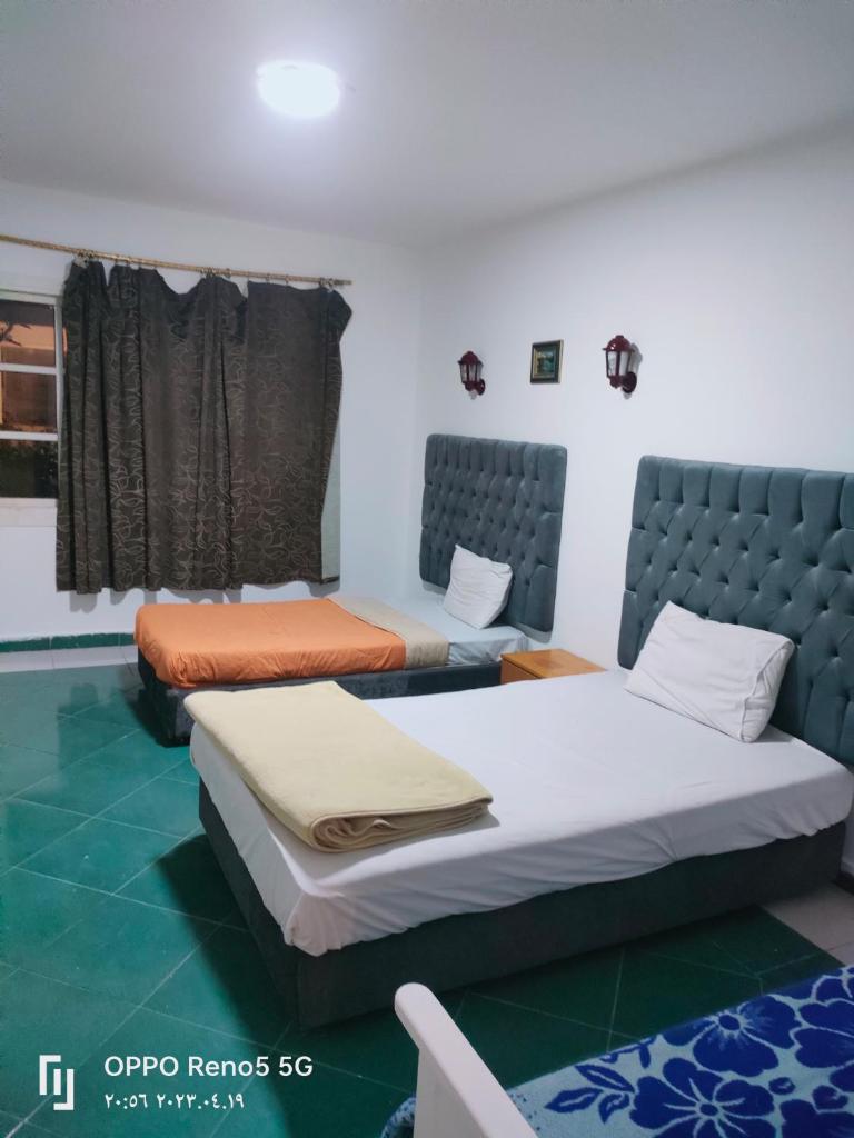 Flat for rent photo 1