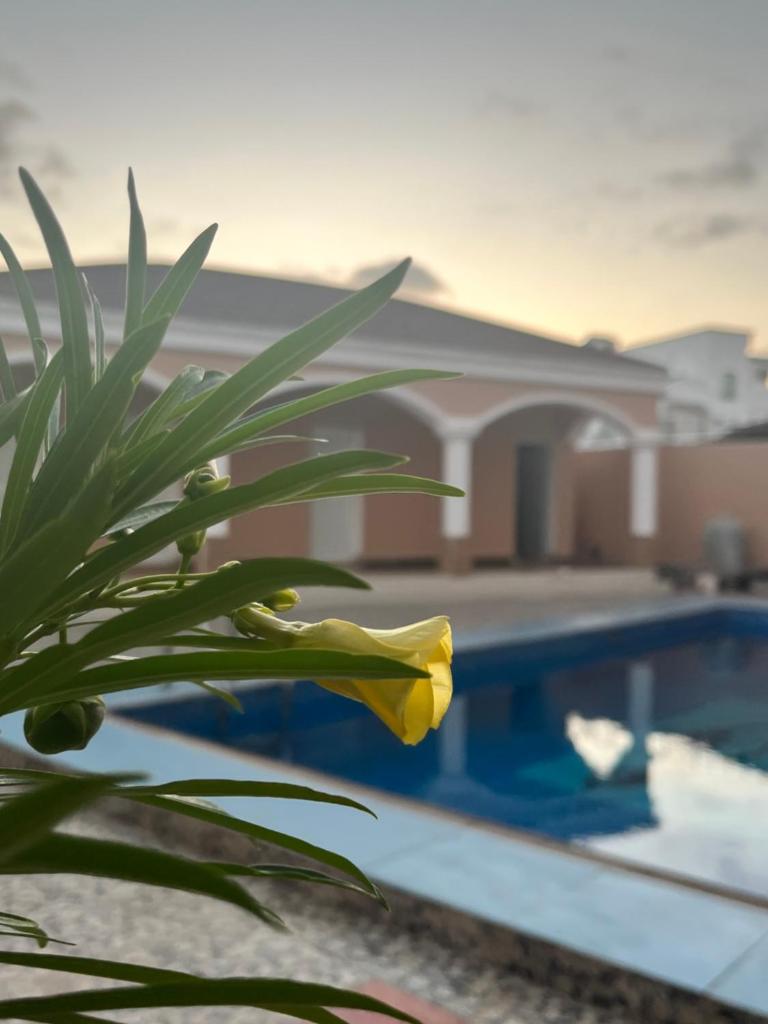 Haramous Guest House photo 3