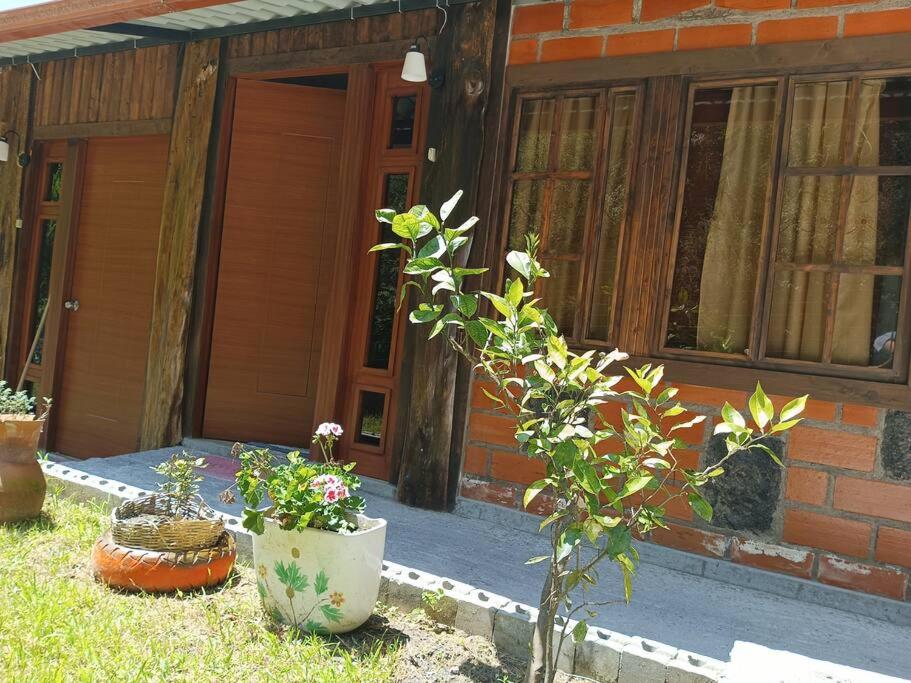 El Rancho Viejo de José, suit de una habitación photo 2