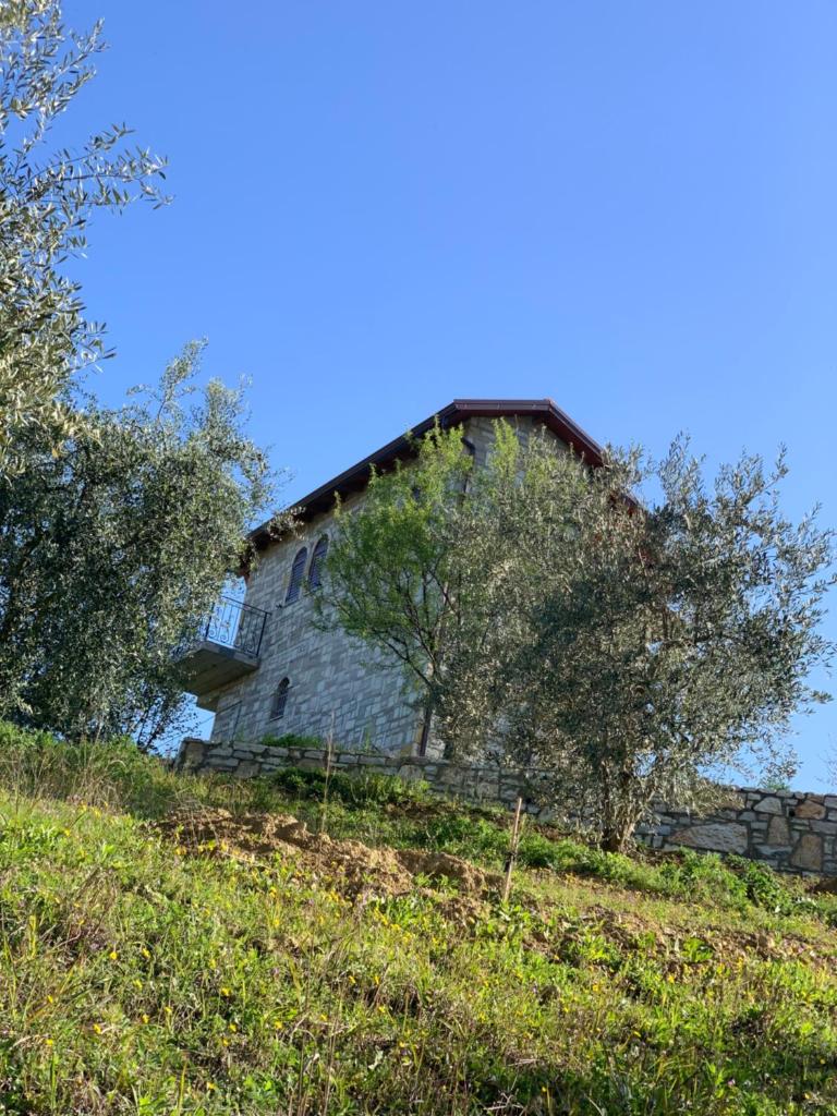 Villa Shehu photo 4