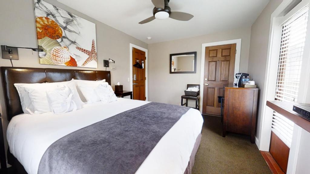 Bird Rock Hotel image