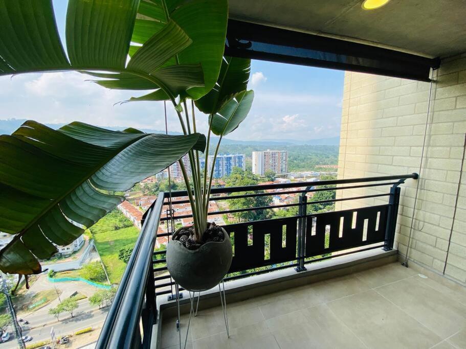 Luxurious apartament 3 bedrooms! Top cañaveral photo 3