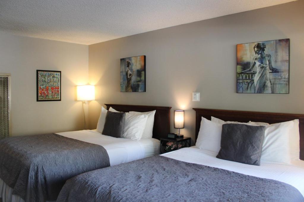The Alder Inn photo 3