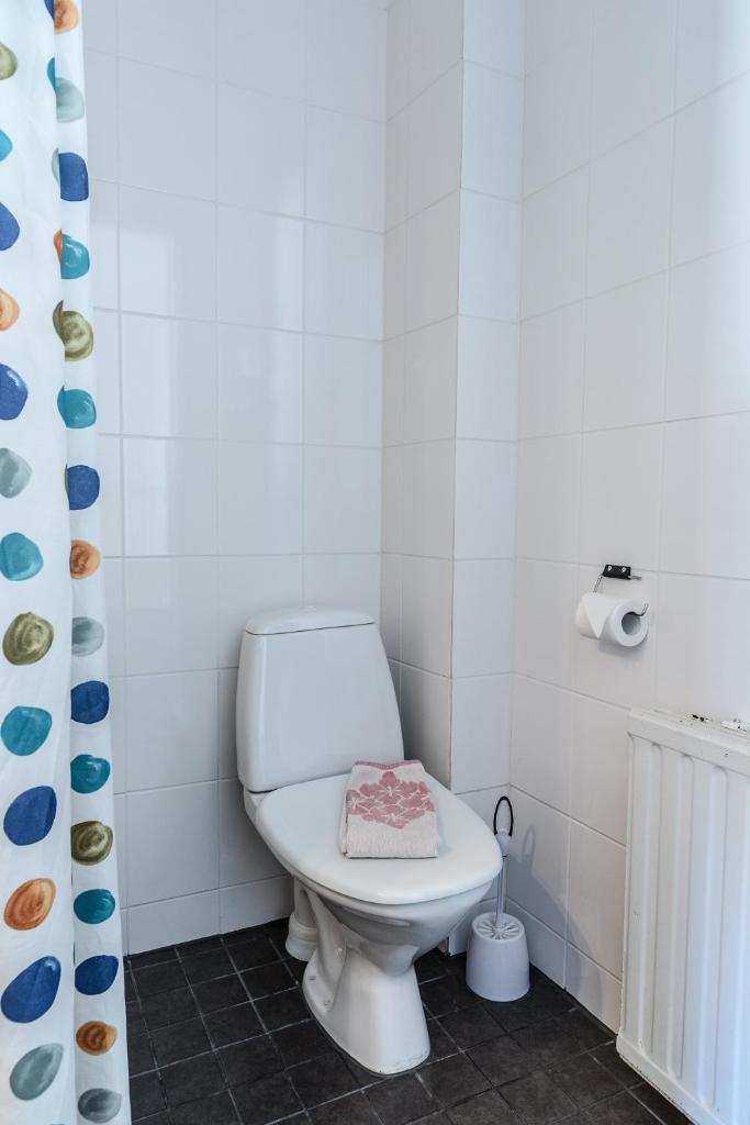 Двухместный (Двухместный номер с 2 отдельными кроватями), Guesthouse Borealis
