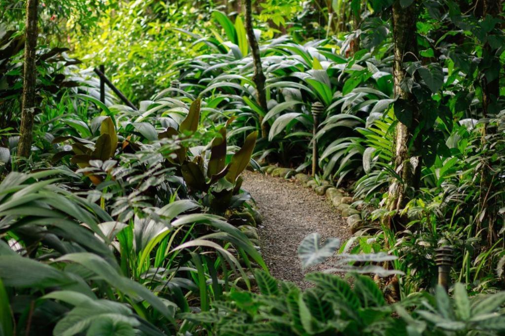 Kontiki Forest Glamping Costa Rica photo 3