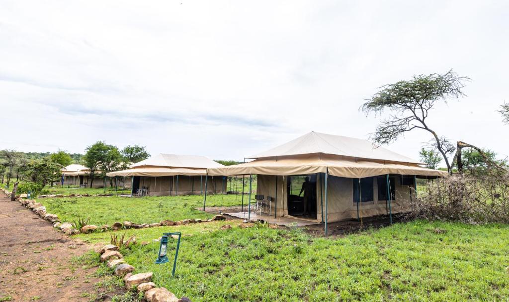 Serengeti Wild Camp