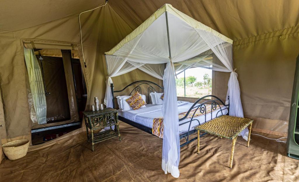 Serengeti Wild Camp photo 4