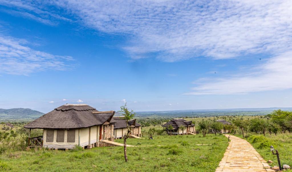 Serengeti Safari Lodge photo 4