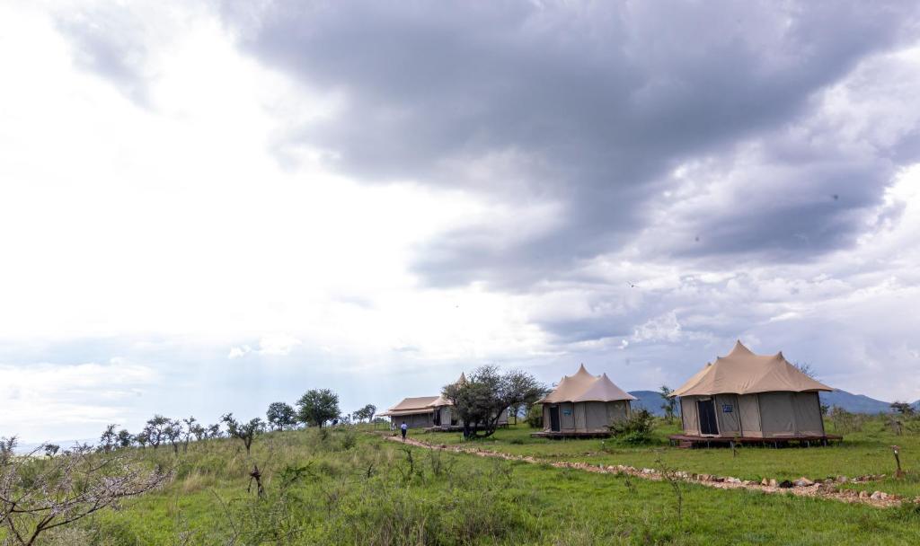 Serengeti Wildebeest Camp photo 2