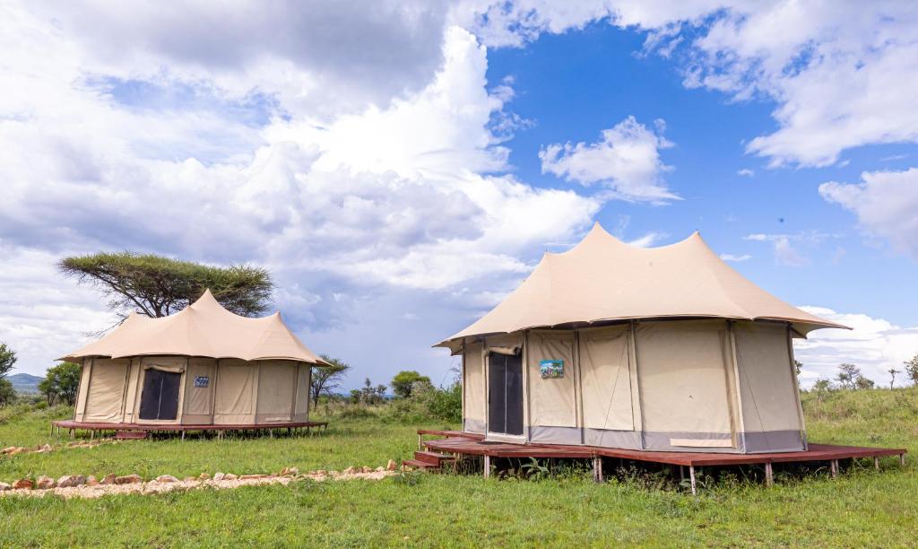 Serengeti Wildebeest Camp photo 3