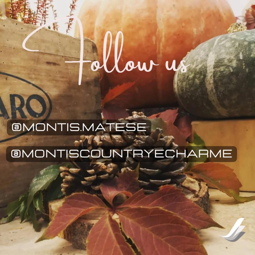 Montis Country & Charme photo 1
