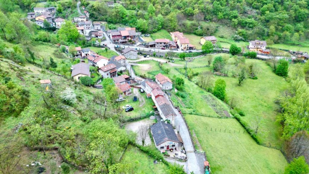 Casa Cuevas photo 3