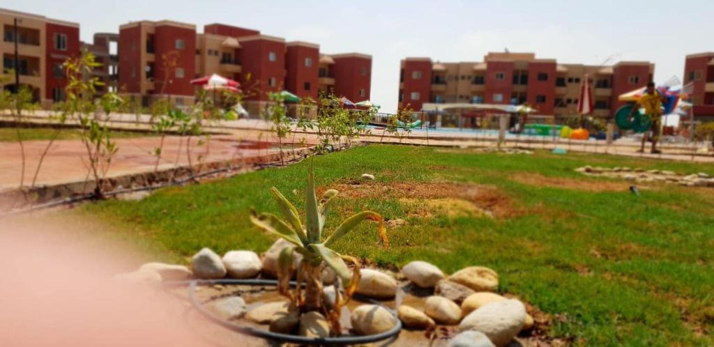 Diamond Resort photo 2