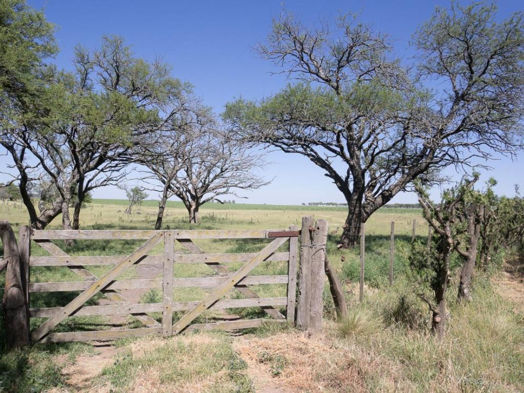 Pampa Cottage photo 4
