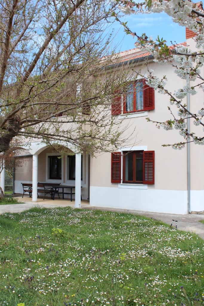 Villa Blue photo 4
