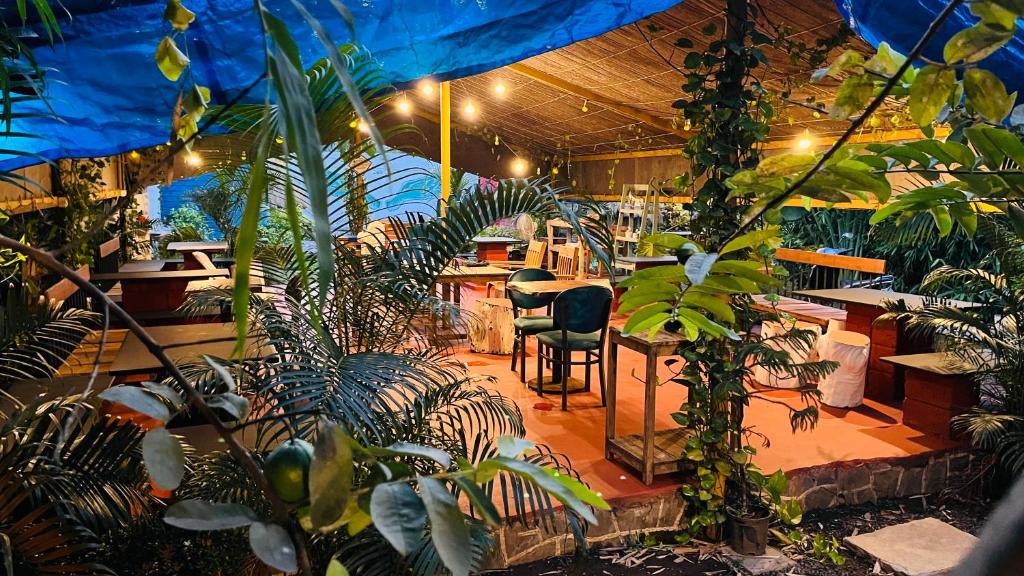Cafe Elba photo 2