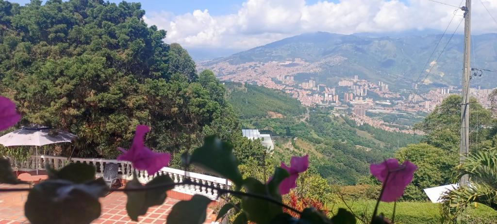 Mho a 10 minutos de Medellin photo 2
