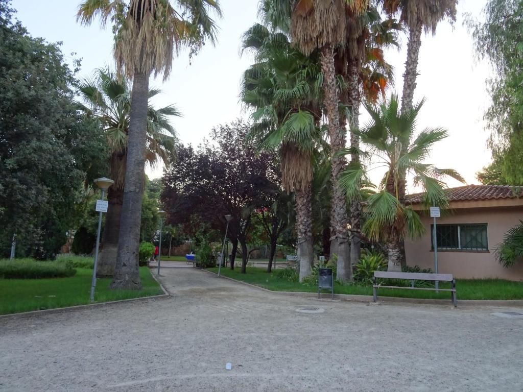 PISO CON VISTAS photo 3
