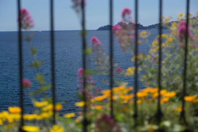 The best view in the world! photo 2