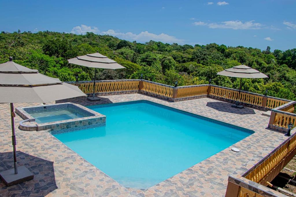 Blue Berry Hill Villa photo 3