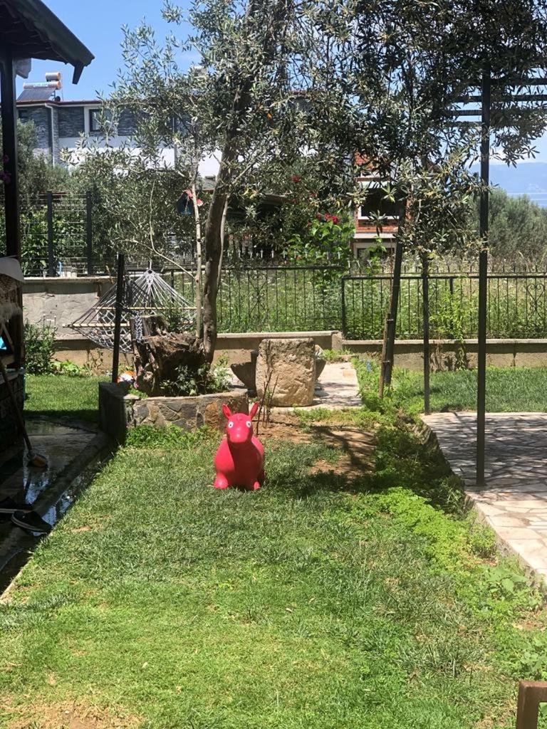 Yazlık photo 2