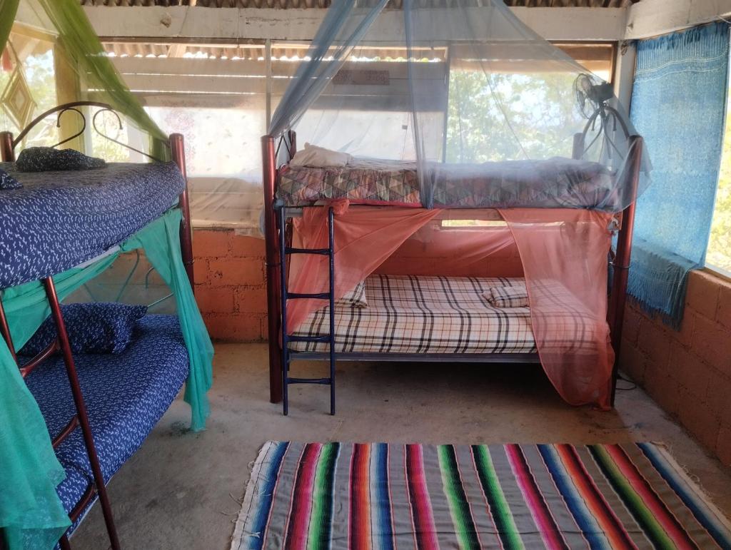 Ivanna hostel mazunte photo 3