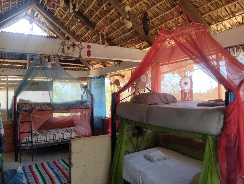 Ivanna hostel mazunte photo 2