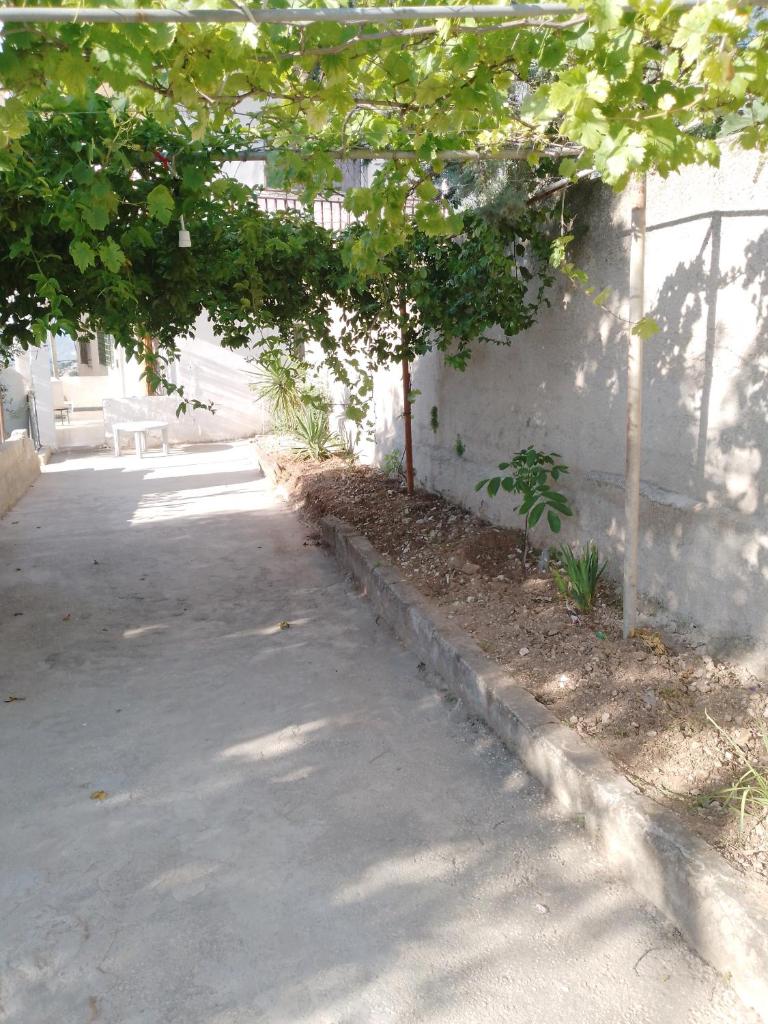 Al-Sawsanah Guest House photo 1