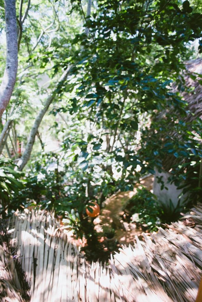 Đà Lạt Củi Homestay