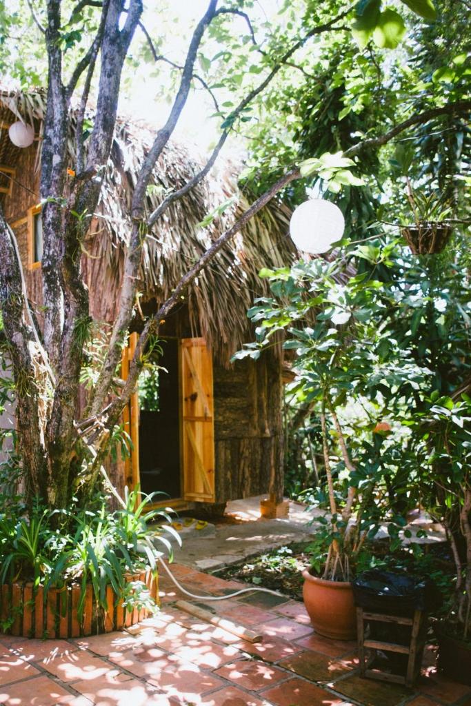 Đà Lạt Củi Homestay