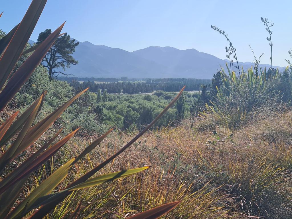 Riverview Lodge photo 3