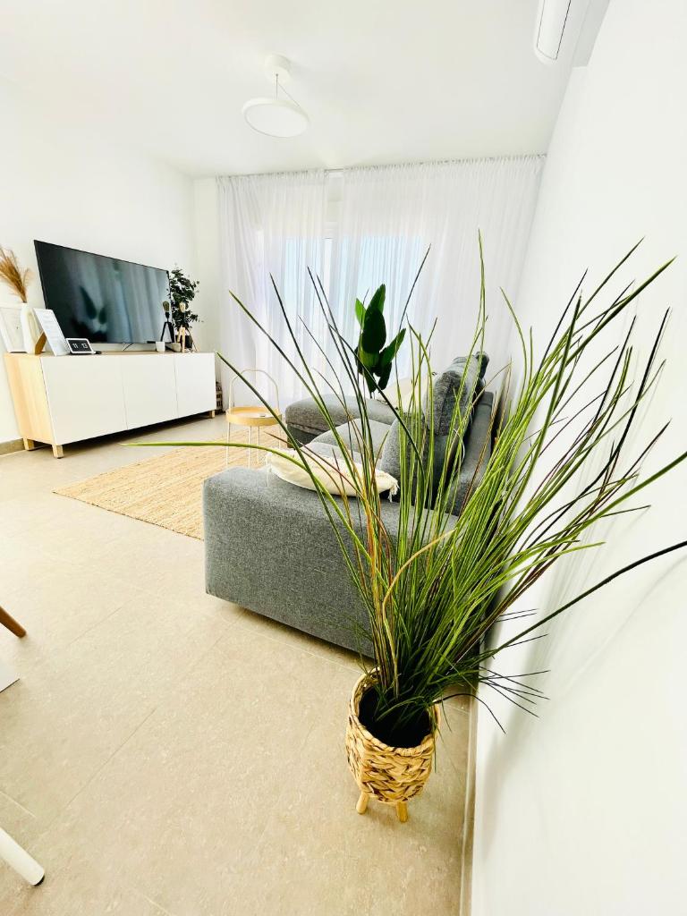 Apartamento Rokita Blanca photo 1