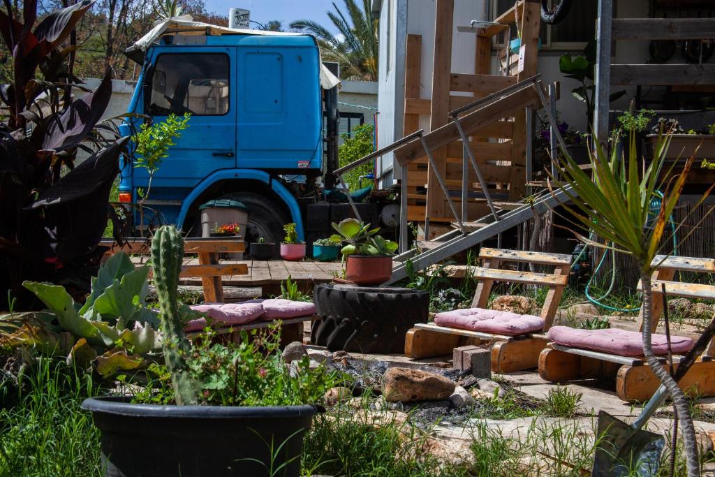 The Magic Truck photo 2