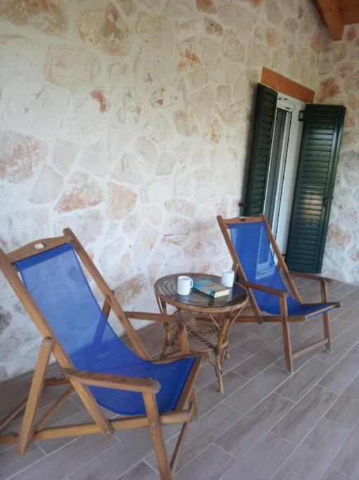 Olive Trees photo 4