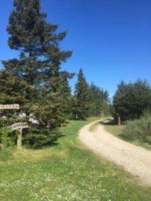 Tranum Klit Camping og Hytteudlejning photo 1