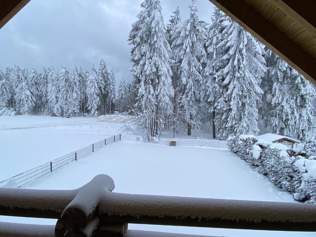 Blockhaus Rennsteig photo 2