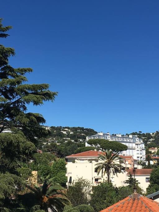 Studio Cosy Centre Cannes photo 4