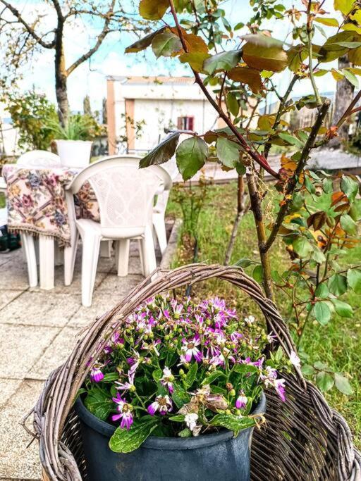Il giardino delle rose photo 3