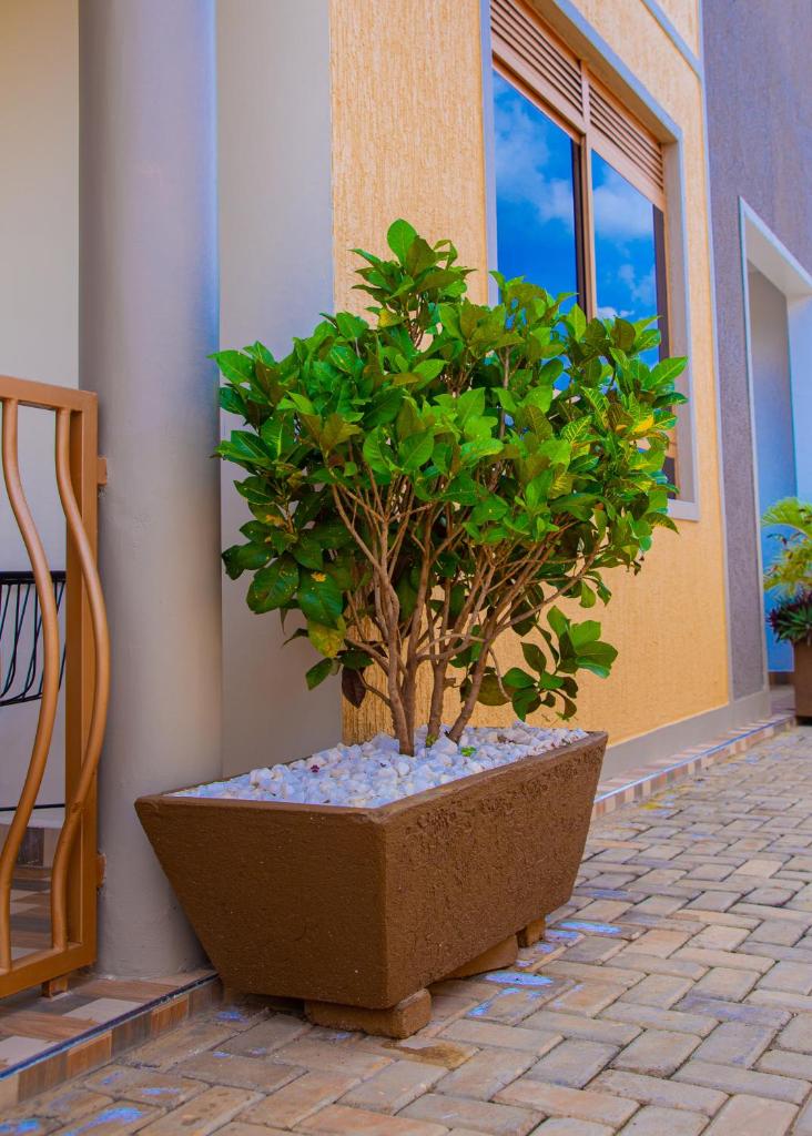 J & A VILLAS photo 1