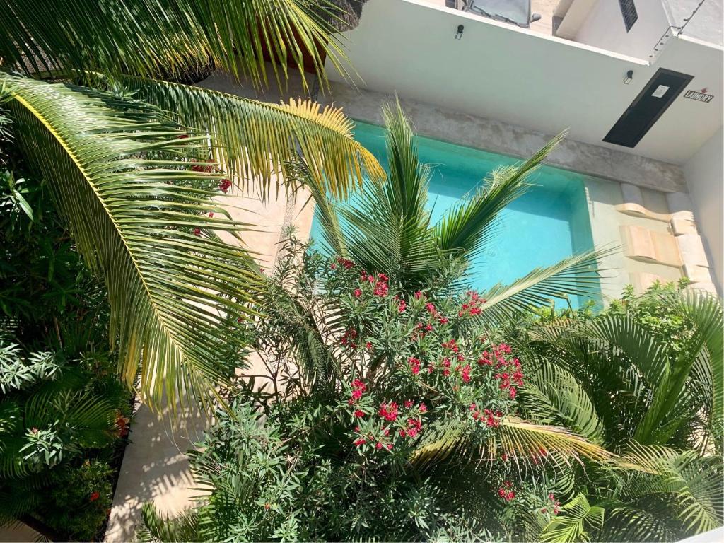 Tua Tulum Apartments spaziosi e confortevoli photo 1