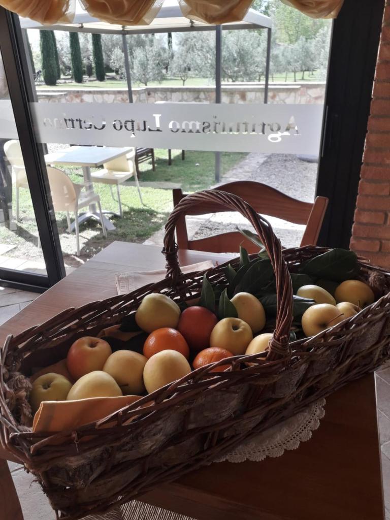 Agriturismo Lupo Cerrino photo 4
