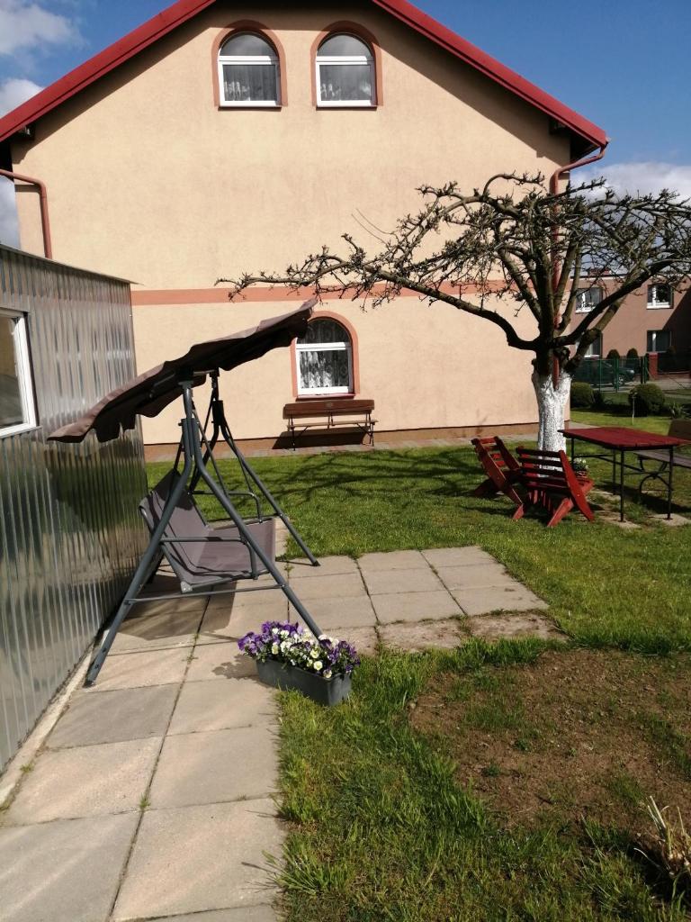 Róża photo 4
