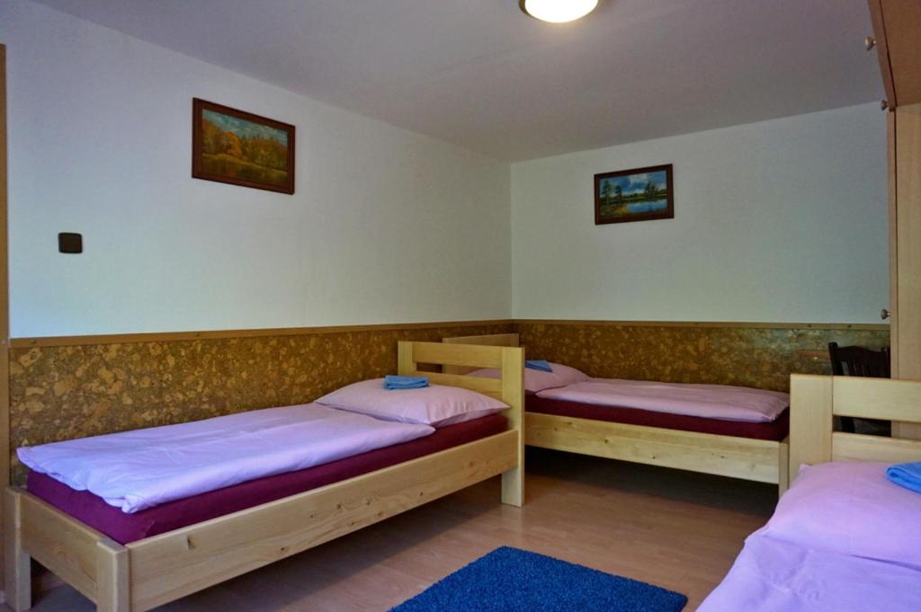 Prázdninový dům-Pension ROLIMPEX photo 2